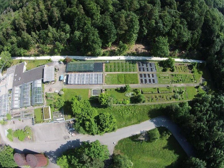 Botanischer Garten und Botanisches Forschungslabor der Universität Konstanz, Konstanz, Germany, Germany